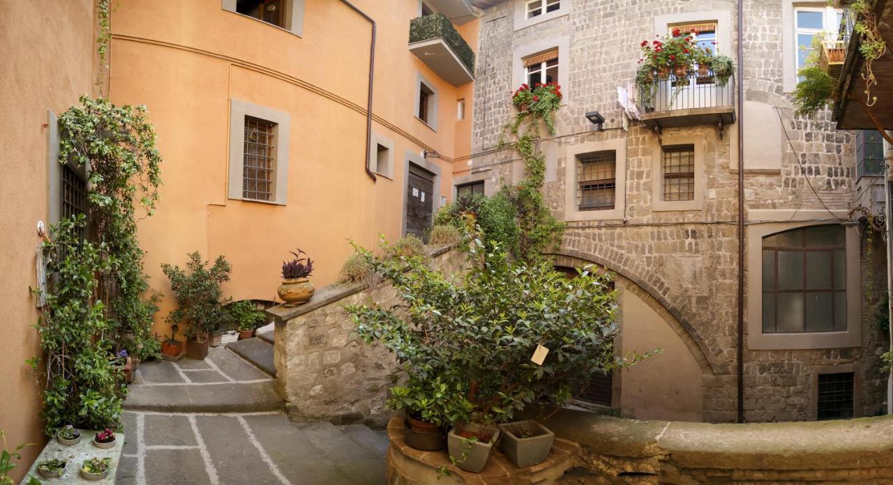 La Rosa Scarlatta Apartment Viterbo Bagian luar foto