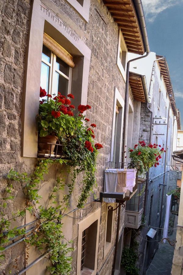 La Rosa Scarlatta Apartment Viterbo Bagian luar foto